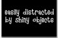 easily-distracted-by-shiny-objects easily-distracted-by-shiny-objects