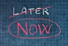 How To Eliminate (The Success Vulture Called) Procrastination In Your Network Marketing Business